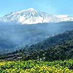 Giovanni & Rosa B Icod De Vinos 度假居 *
